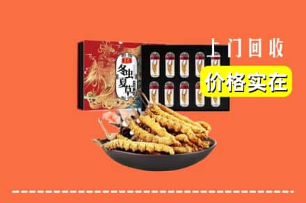 阿勒泰地区吉木乃回收冬虫夏草