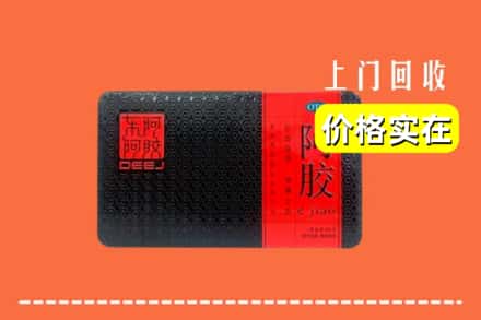 阿勒泰地区吉木乃回收阿胶