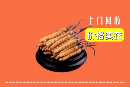 阿勒泰地区吉木乃回收冬虫夏草