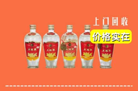 诚信求购:阿勒泰地区吉木乃高价回收老五粮液